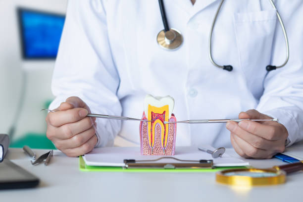 Best Emergency Dental Care for Trauma or Injury in Cao, ND